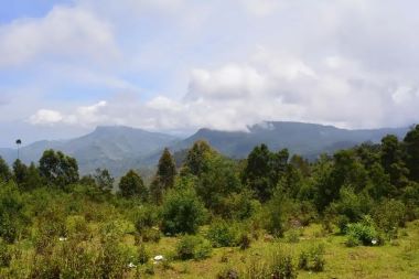 Coorg Trek
